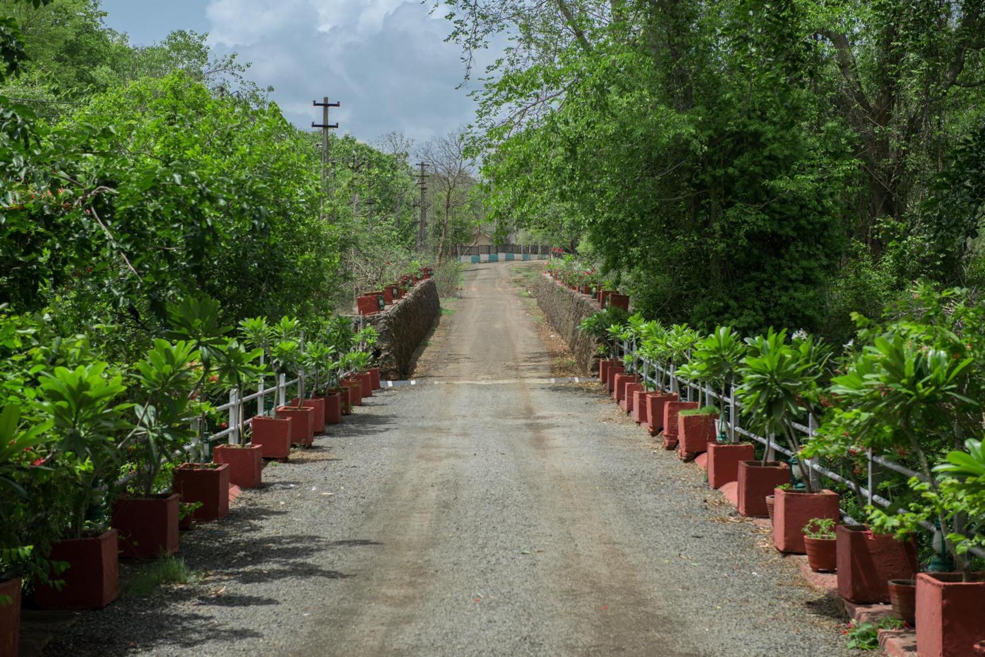 Gir Serai - Ihcl Seleqtions Sasan Gir Buitenkant foto
